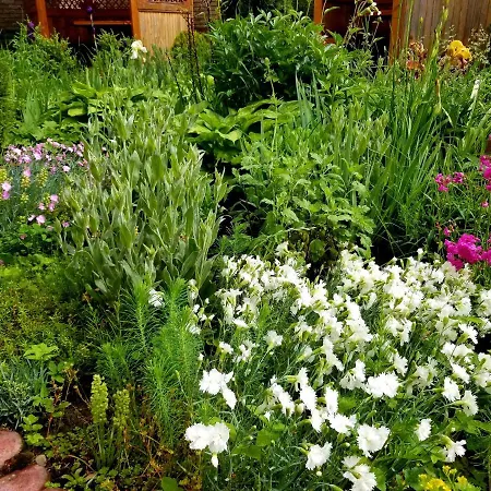 Hotel святослав Skhidnytsia