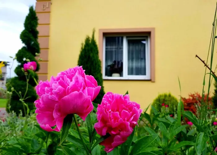 святослав * Skhidnytsia