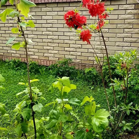 святослав