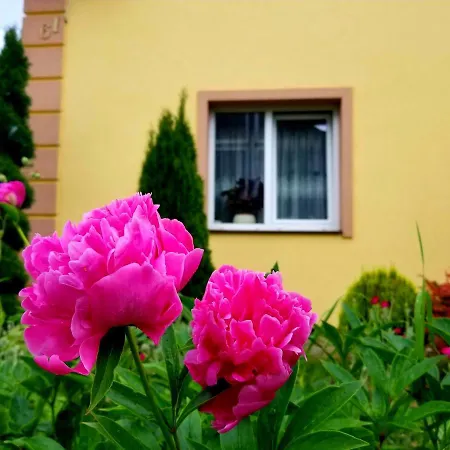 святослав * Skhidnytsia